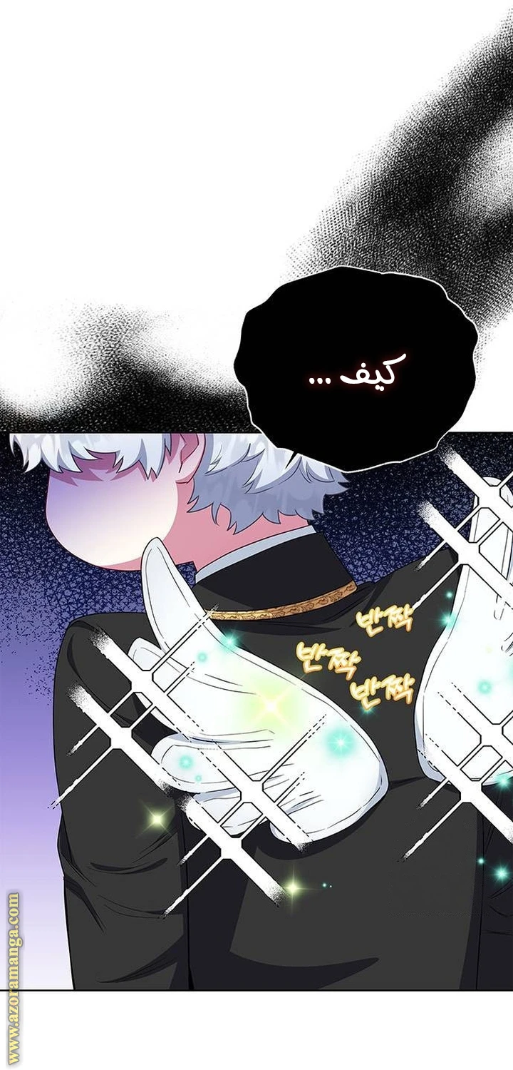 الصفحة 65