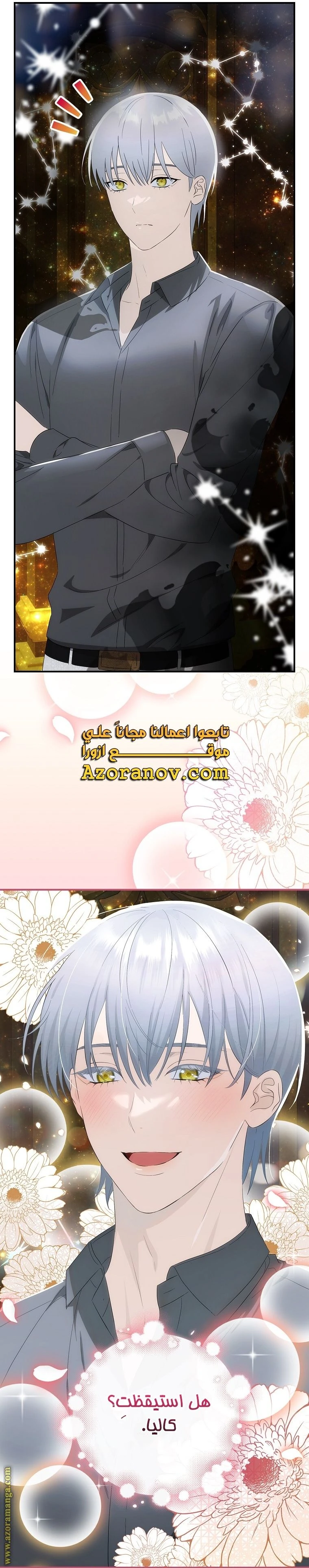 الصفحة 17