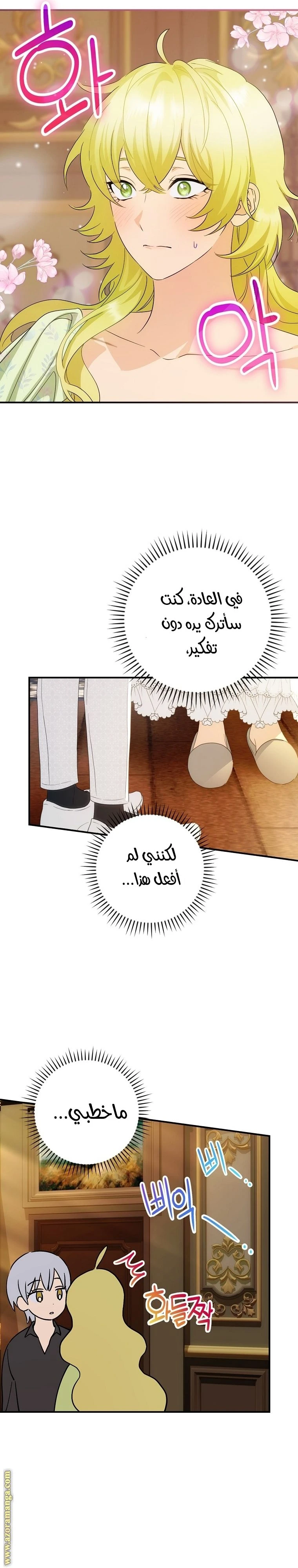 الصفحة 27