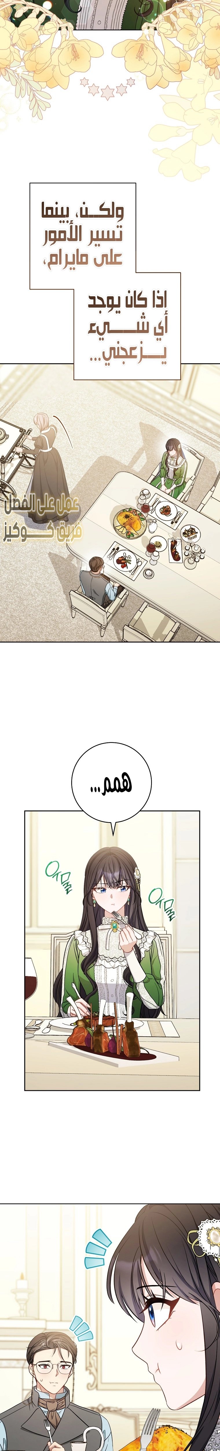 الصفحة 26