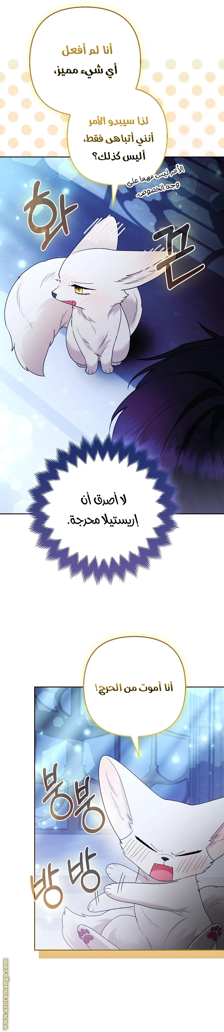 الصفحة 29