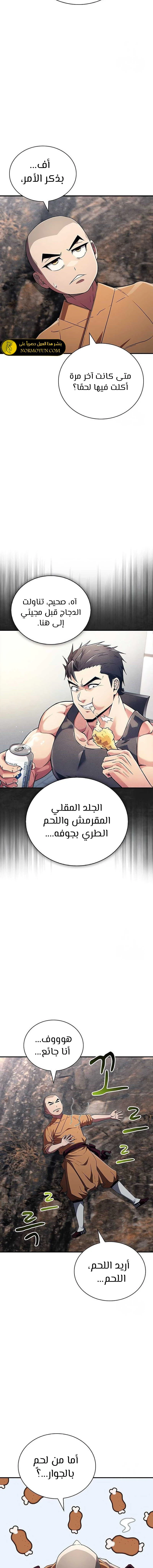 الصفحة 13