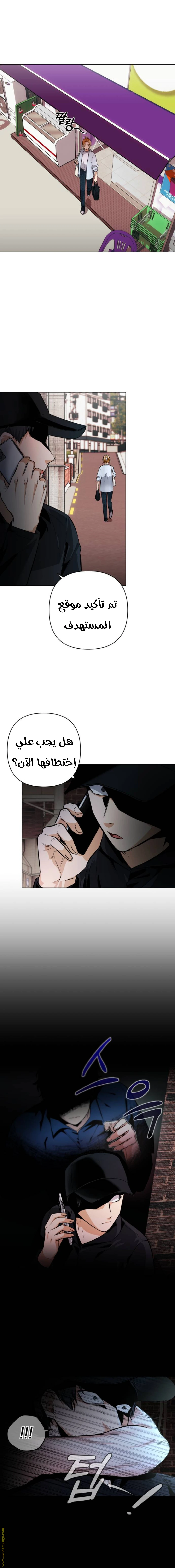 الصفحة 17