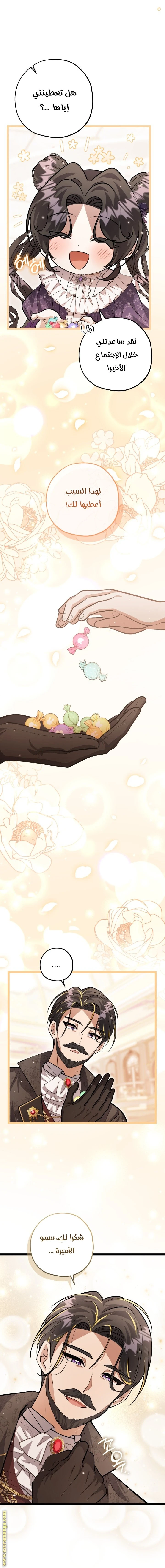الصفحة 20