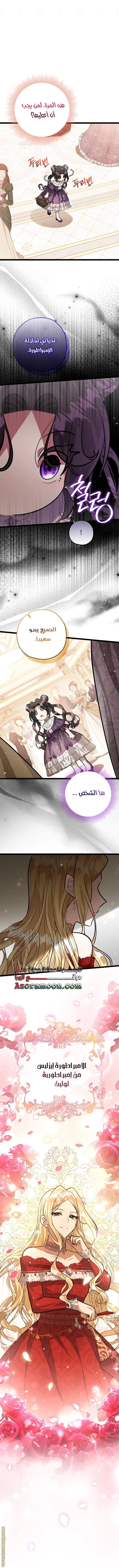 الصفحة 24