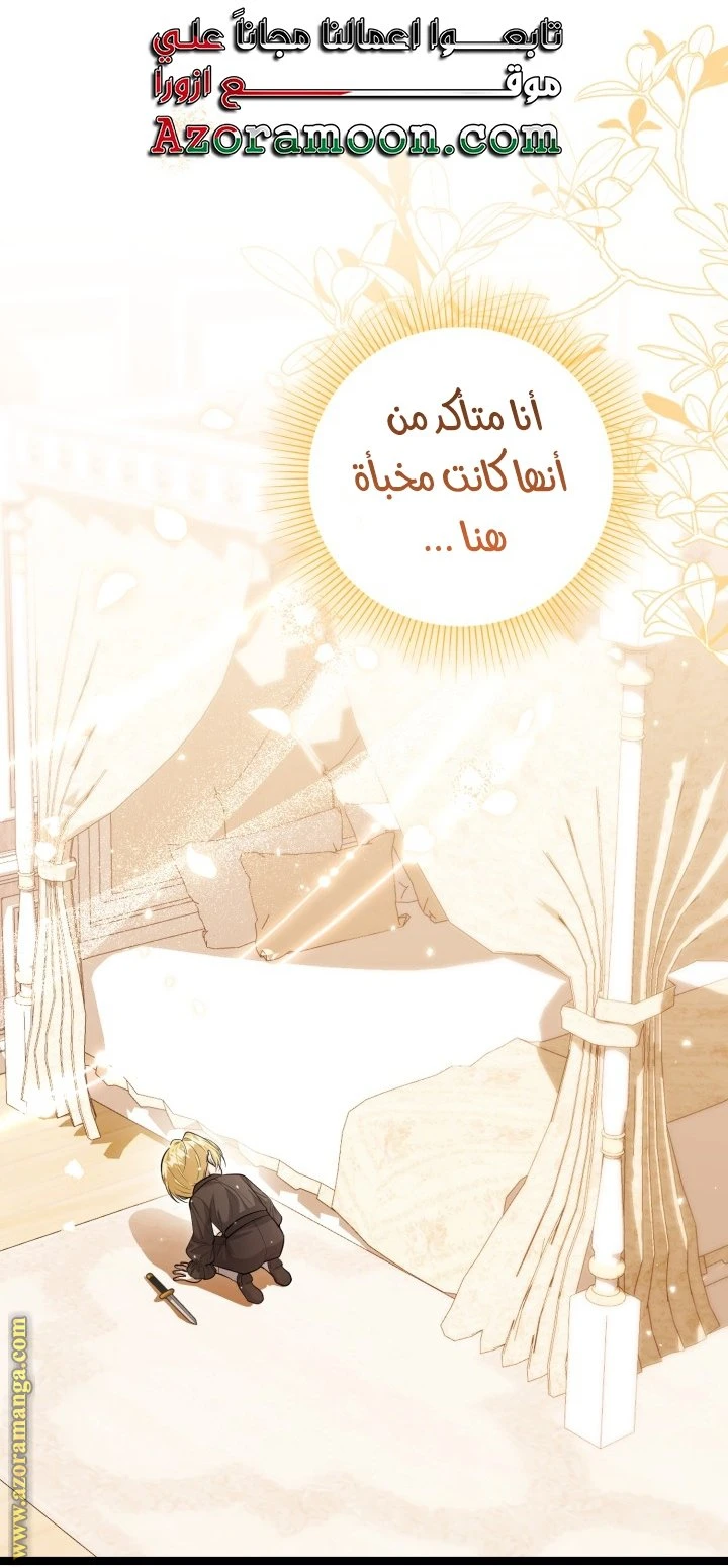 الصفحة 26