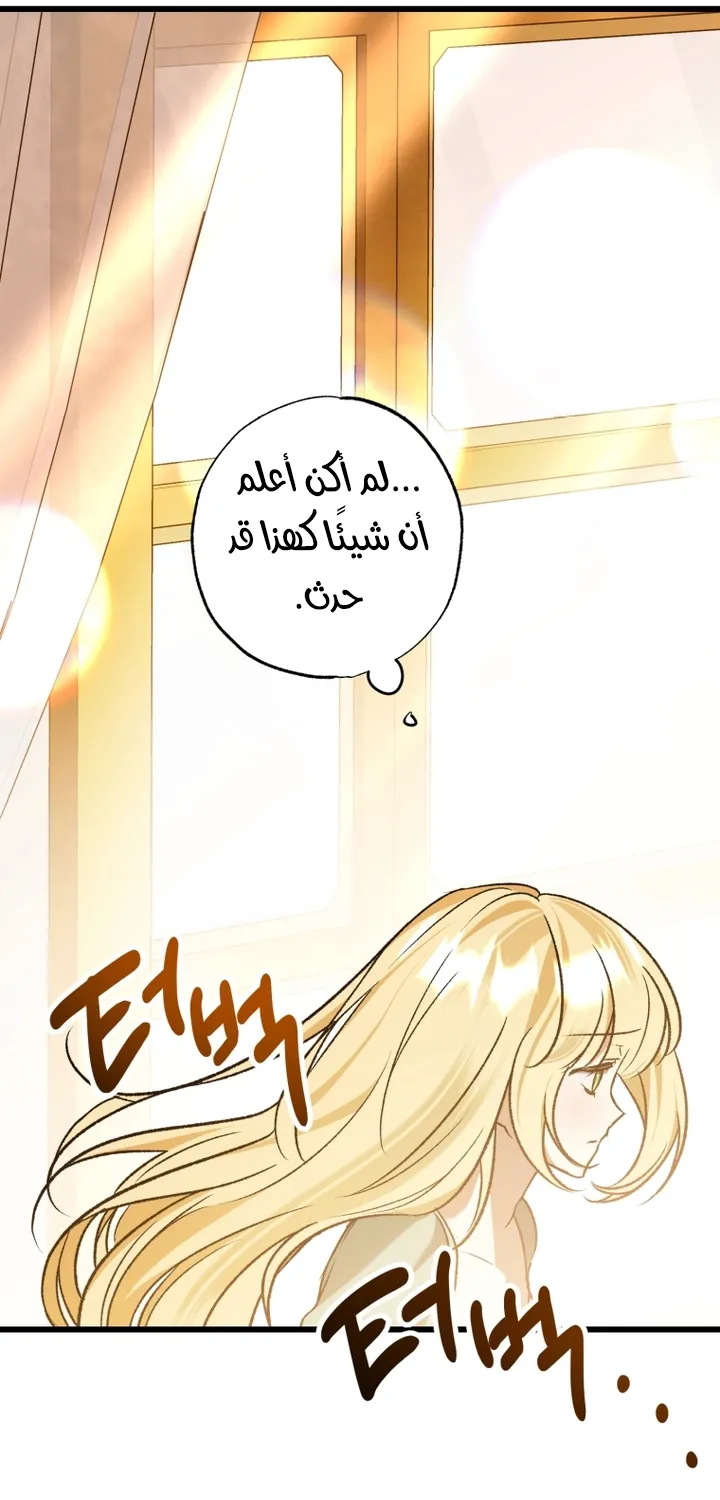 الصفحة 24