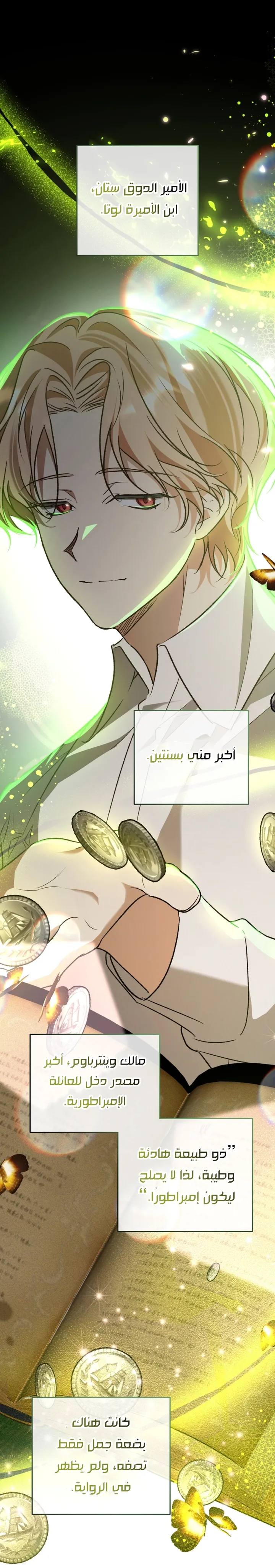 الصفحة 26