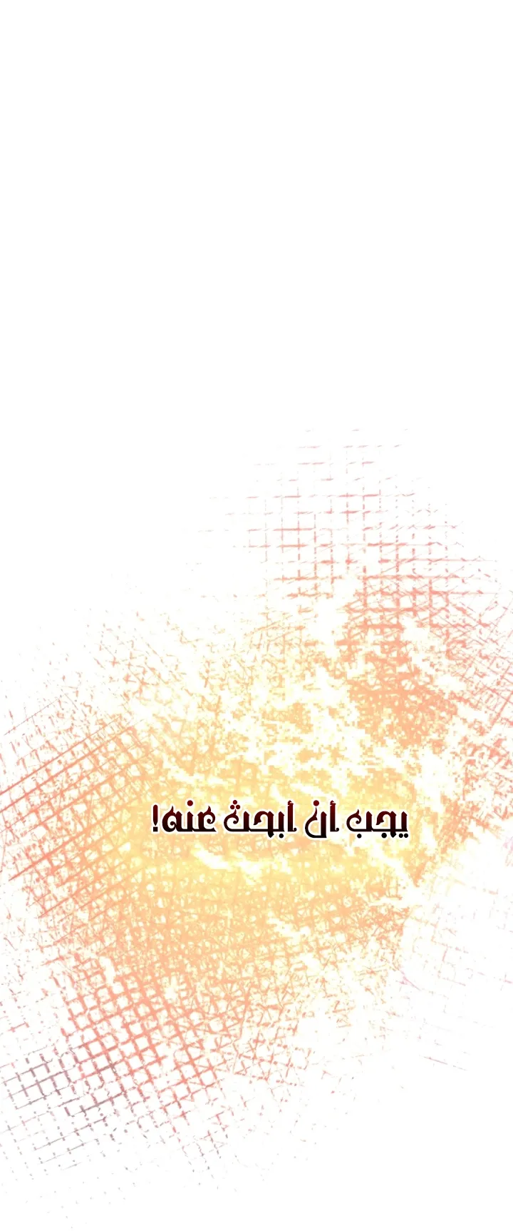 الصفحة 29