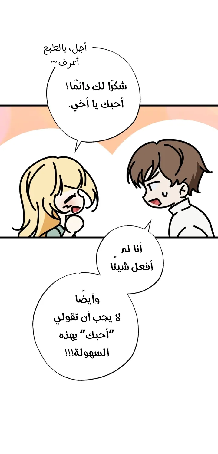 الصفحة 47