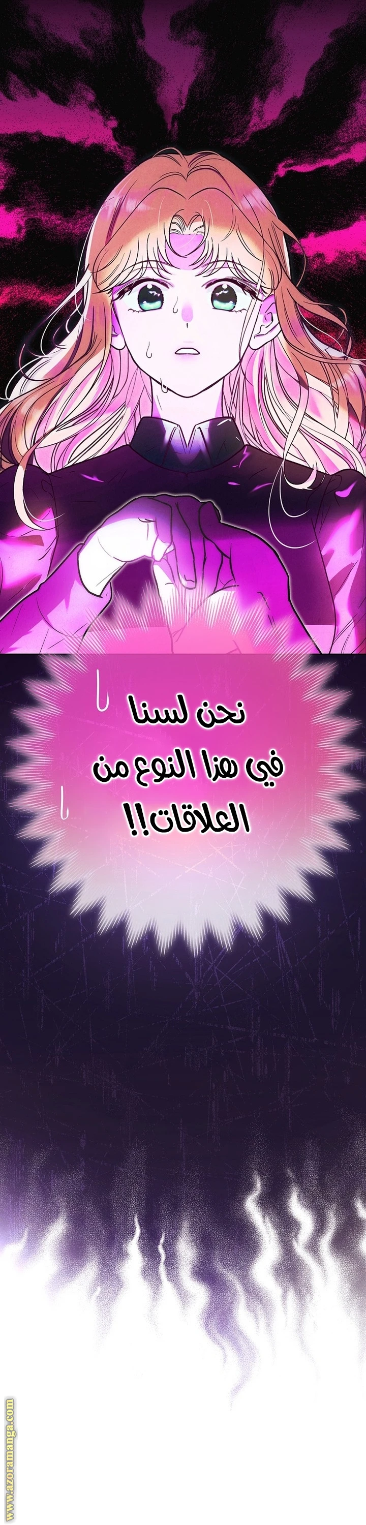 الصفحة 17