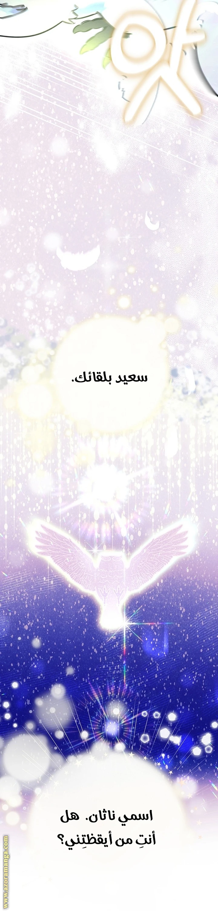 الصفحة 28