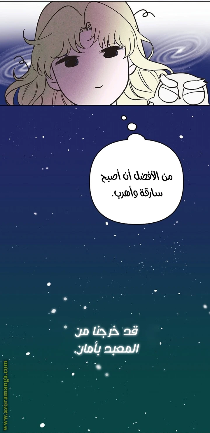 الصفحة 31