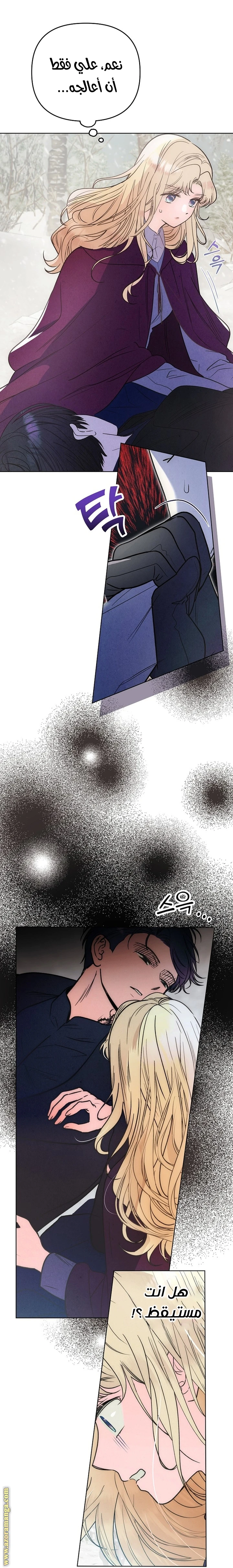 الصفحة 39