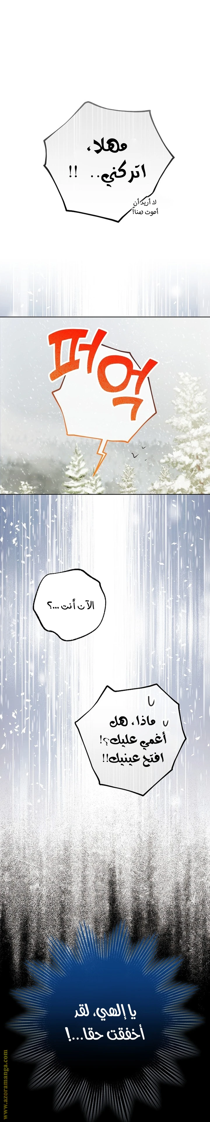 الصفحة 40
