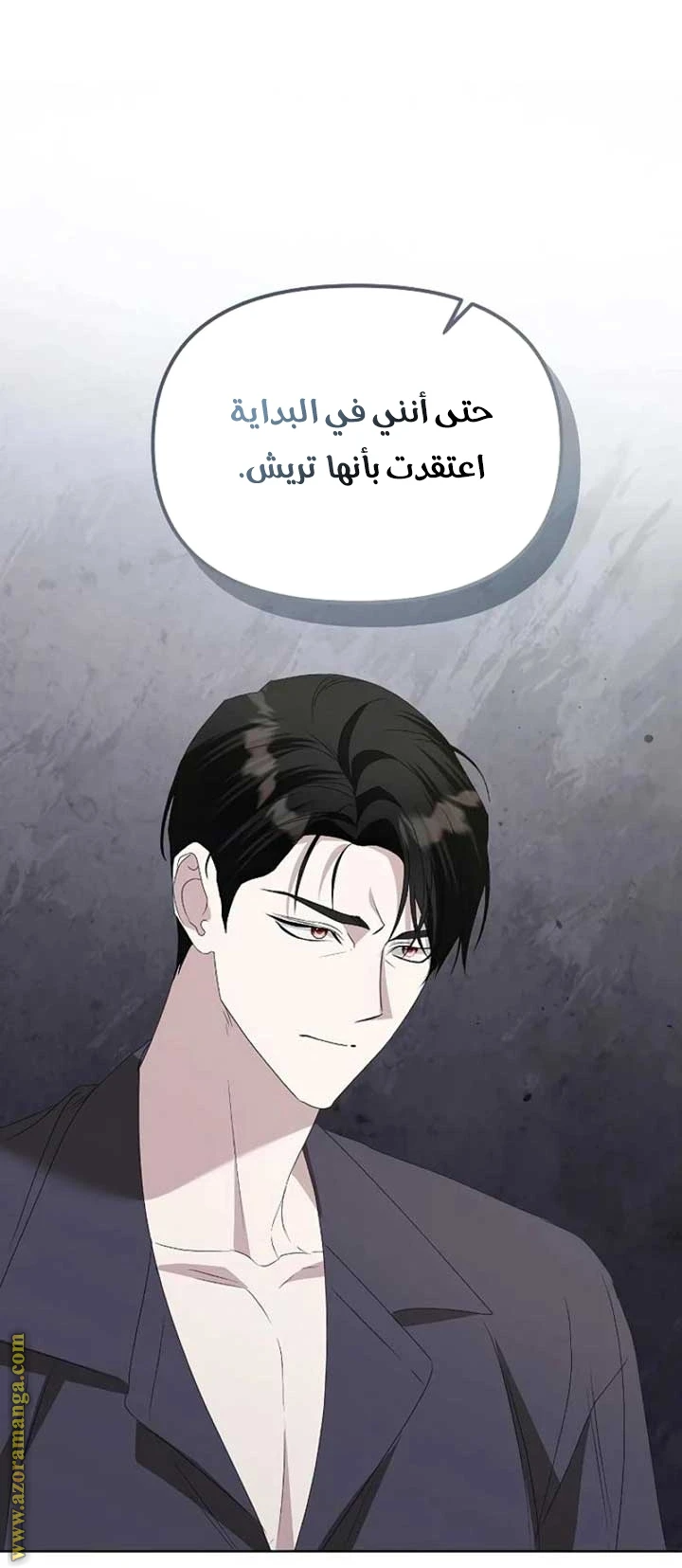 الصفحة 28