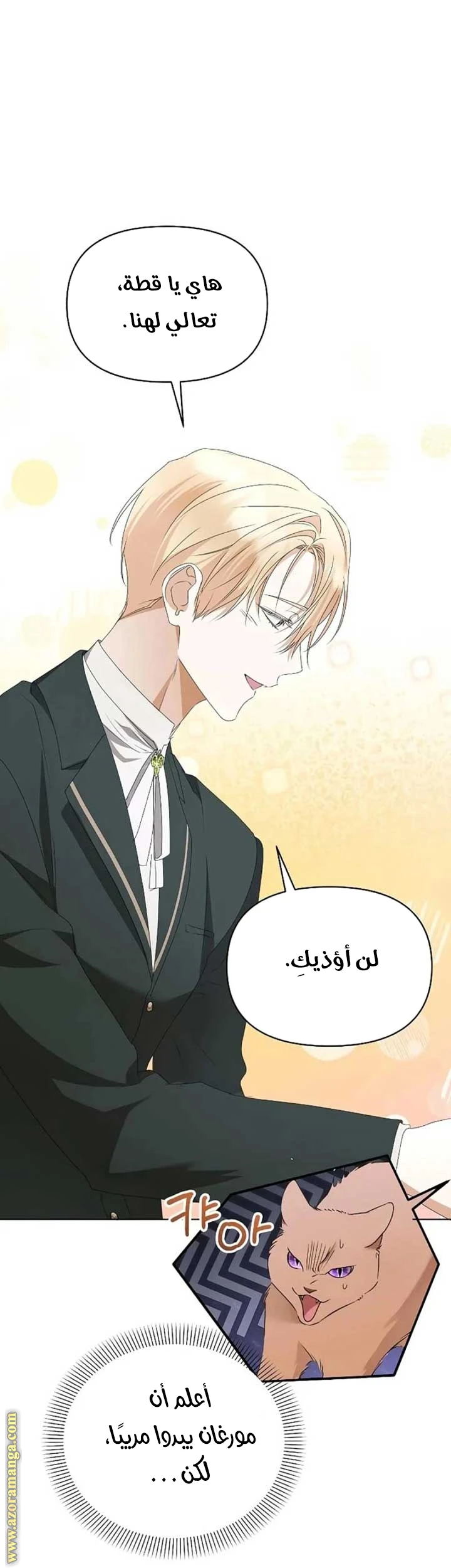 الصفحة 34