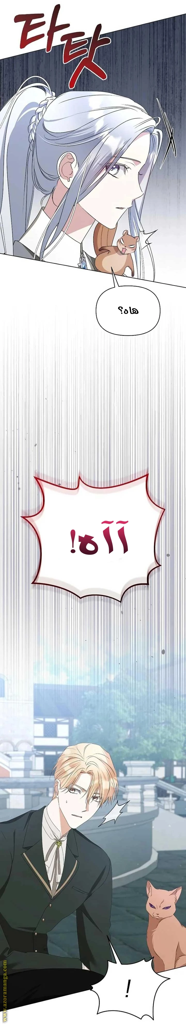 الصفحة 39