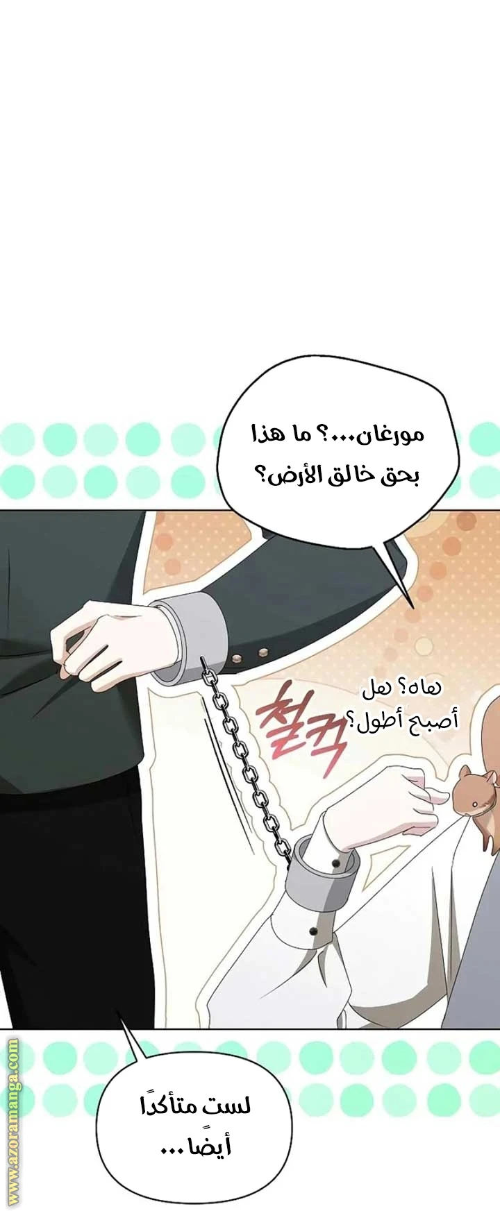 الصفحة 51
