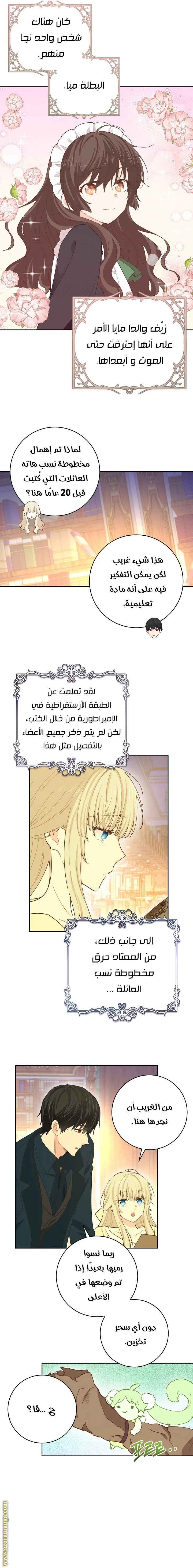 الصفحة 3