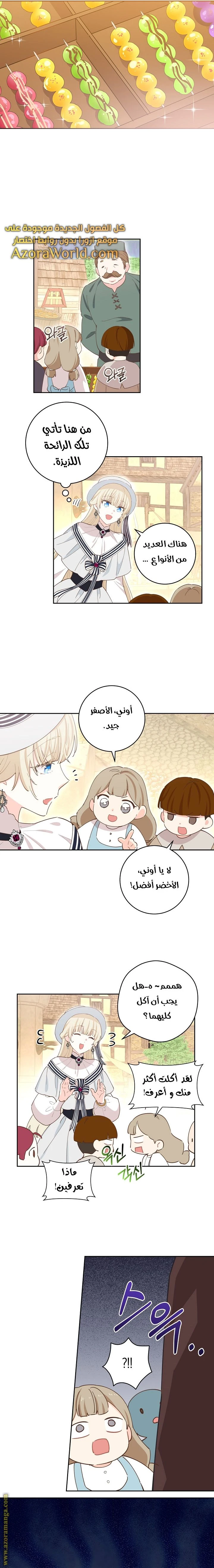 الصفحة 13