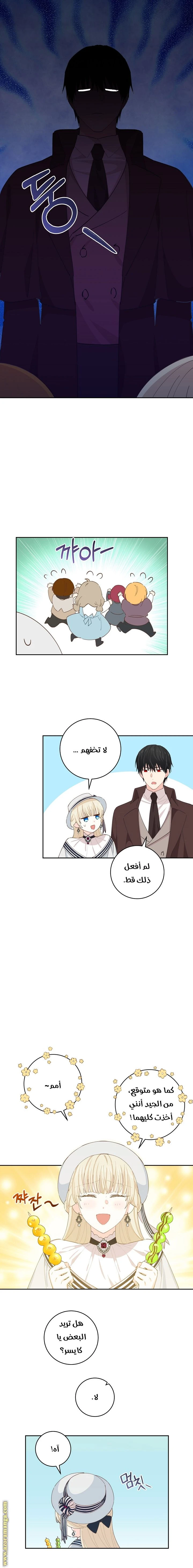 الصفحة 14