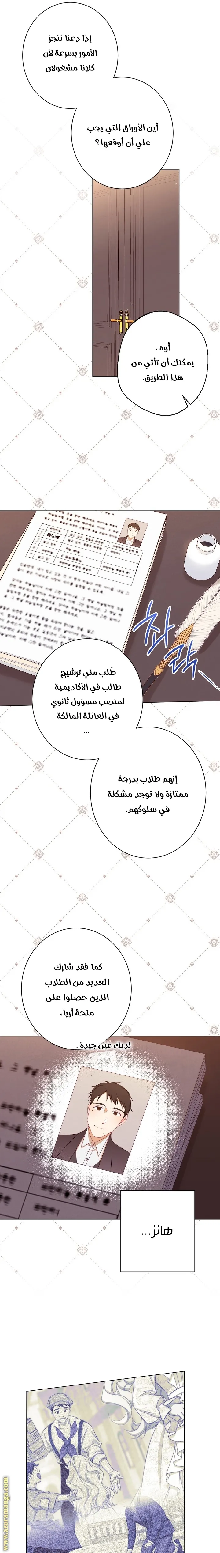 الصفحة 17