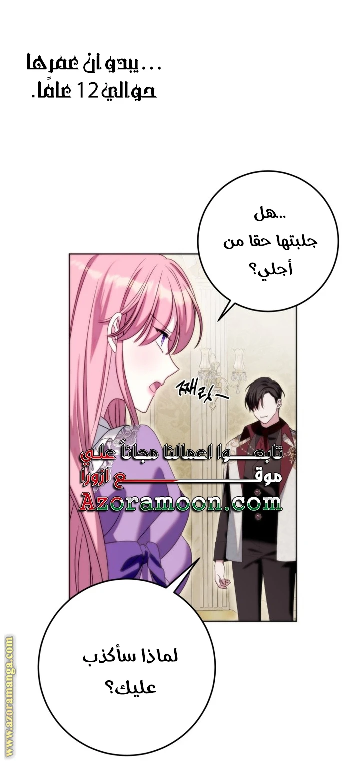 الصفحة 25