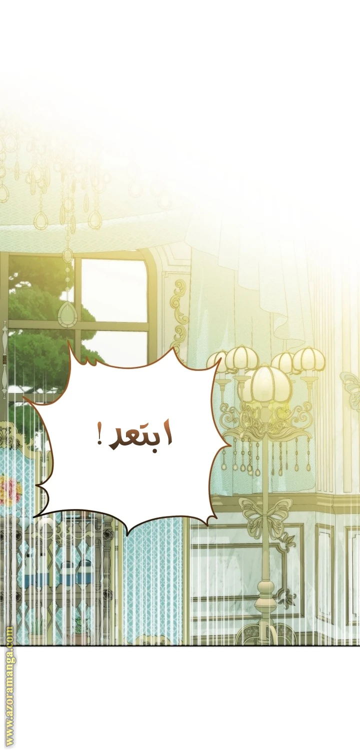 الصفحة 31