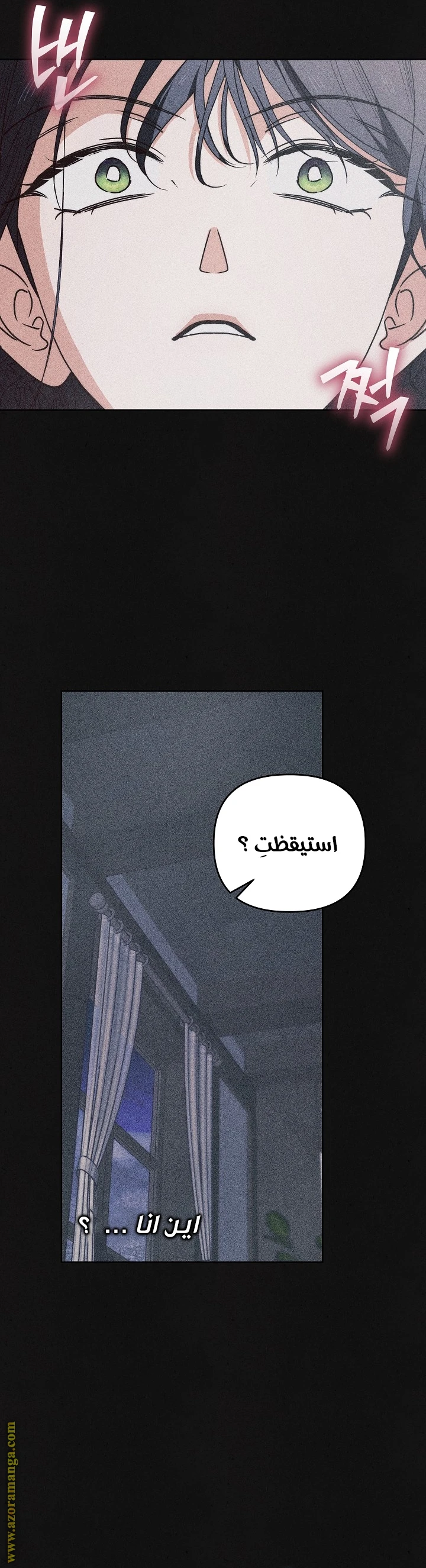 الصفحة 12