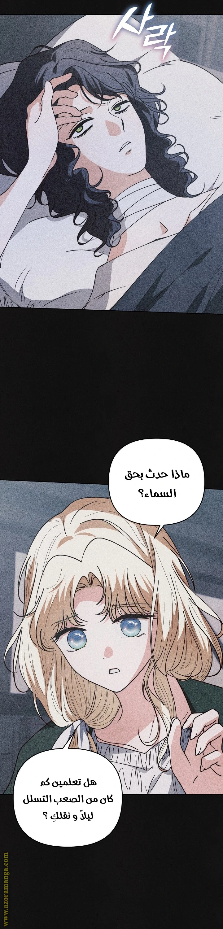 الصفحة 13
