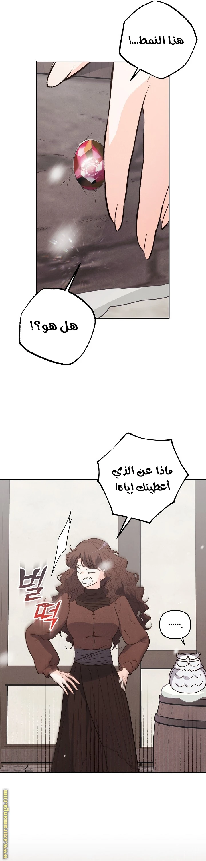 الصفحة 19