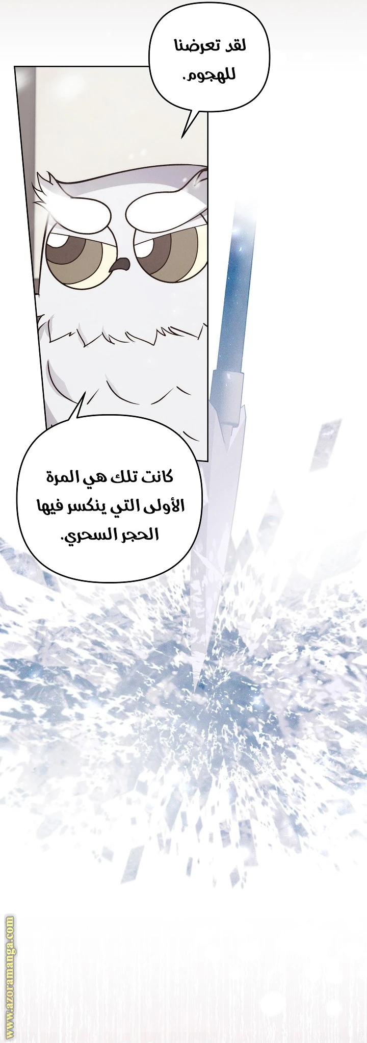 الصفحة 21