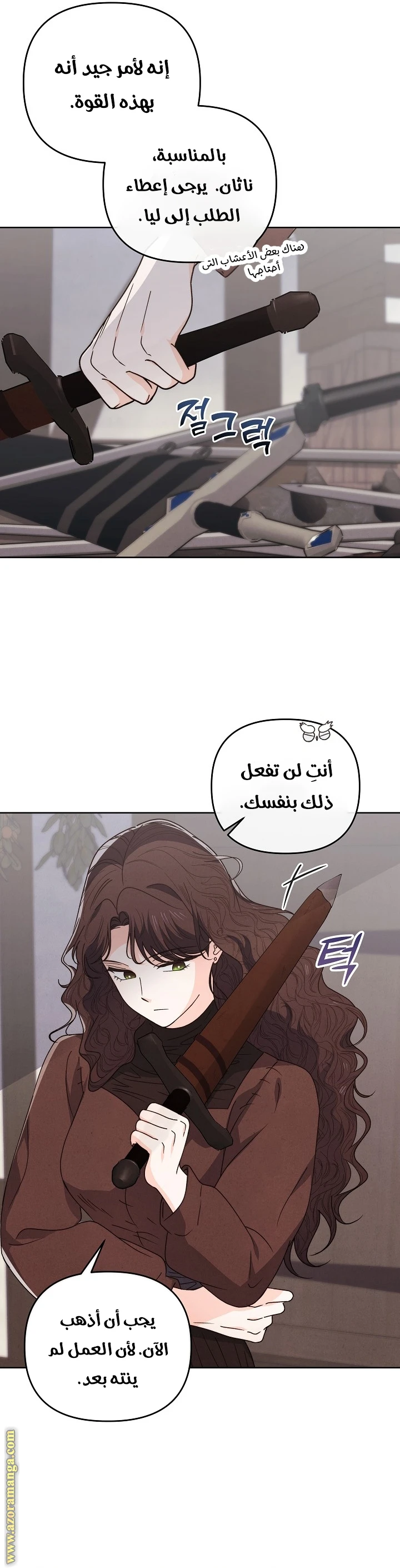 الصفحة 25