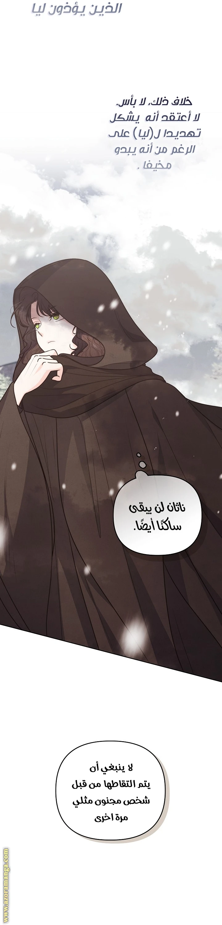 الصفحة 29