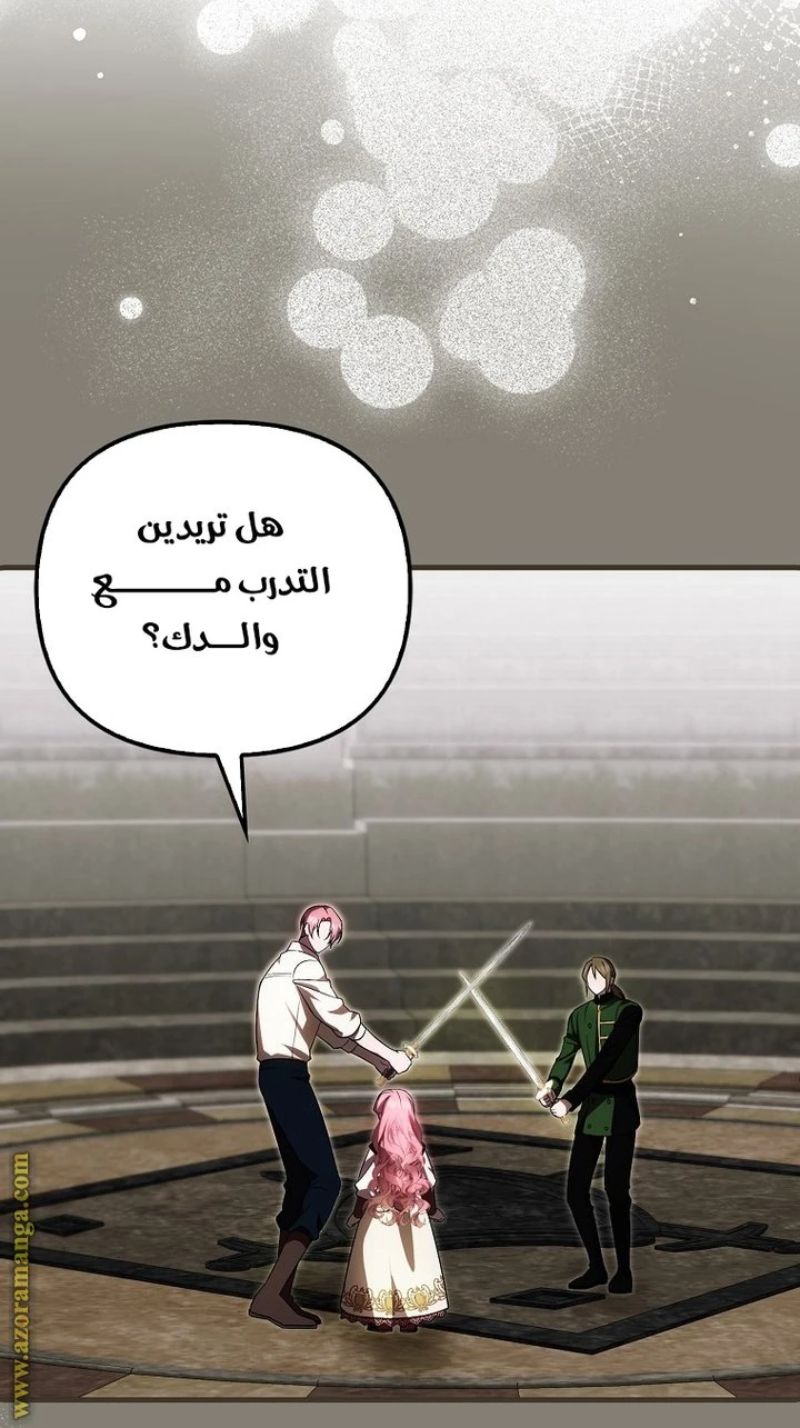 الصفحة 29