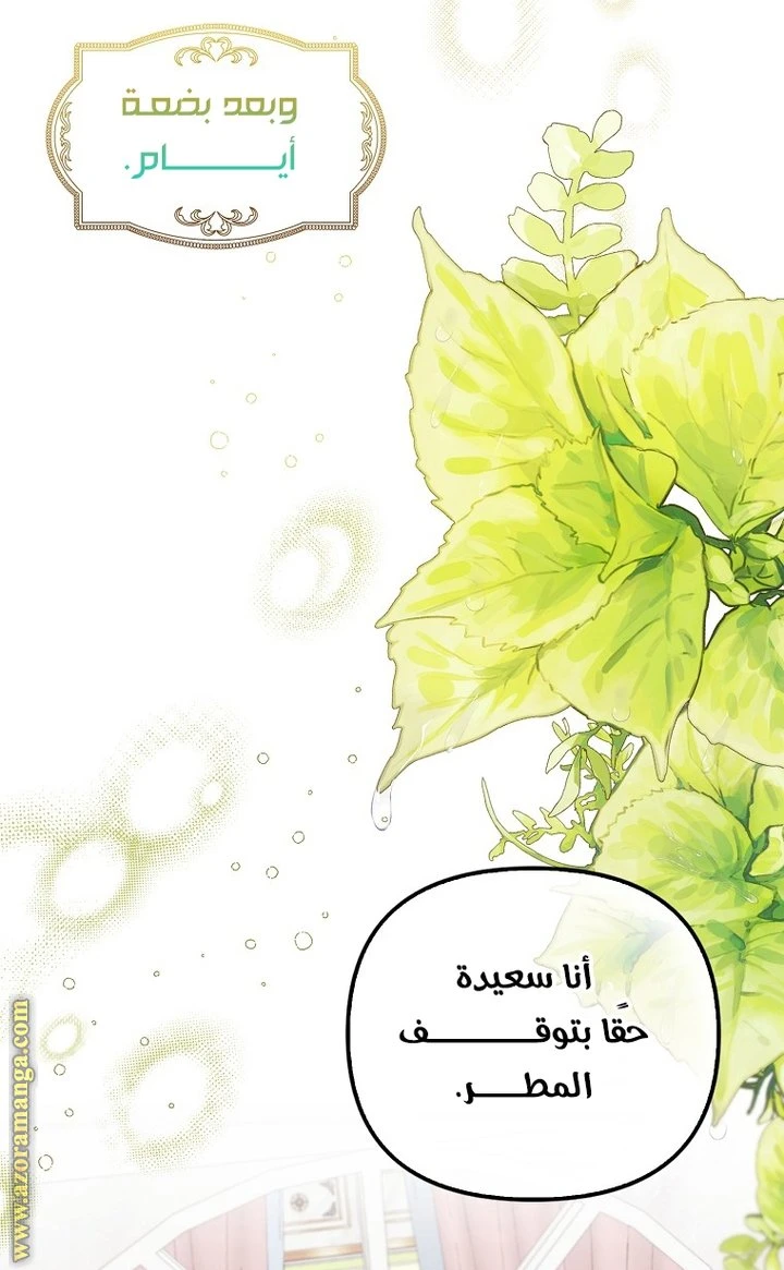 الصفحة 40