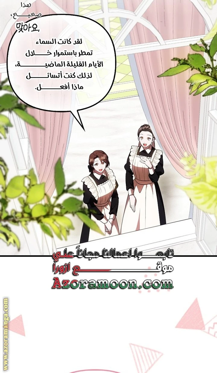الصفحة 41