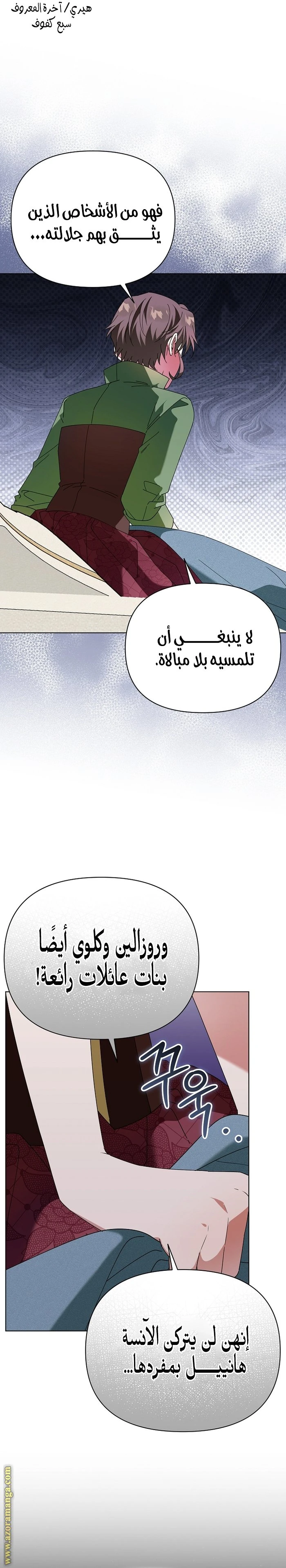 الصفحة 17