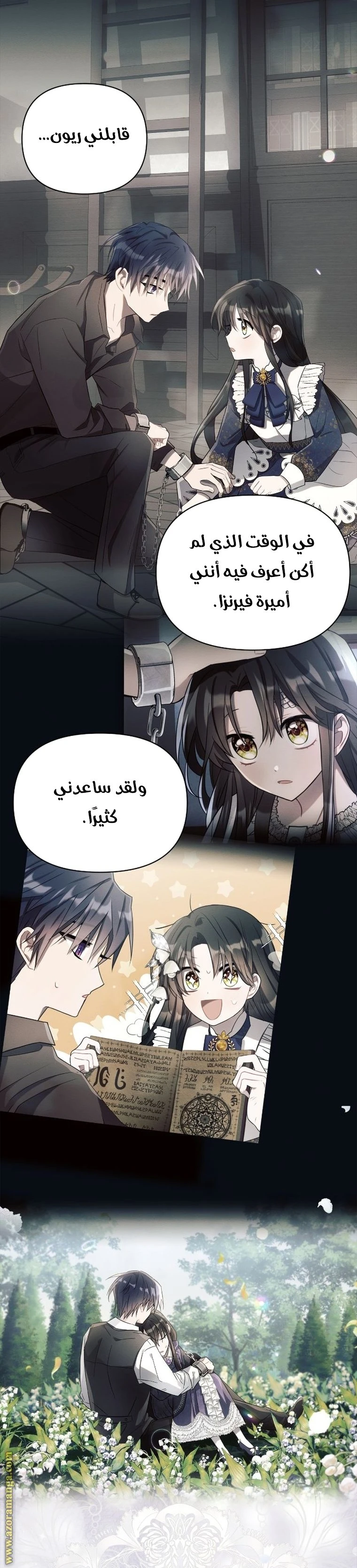الصفحة 11