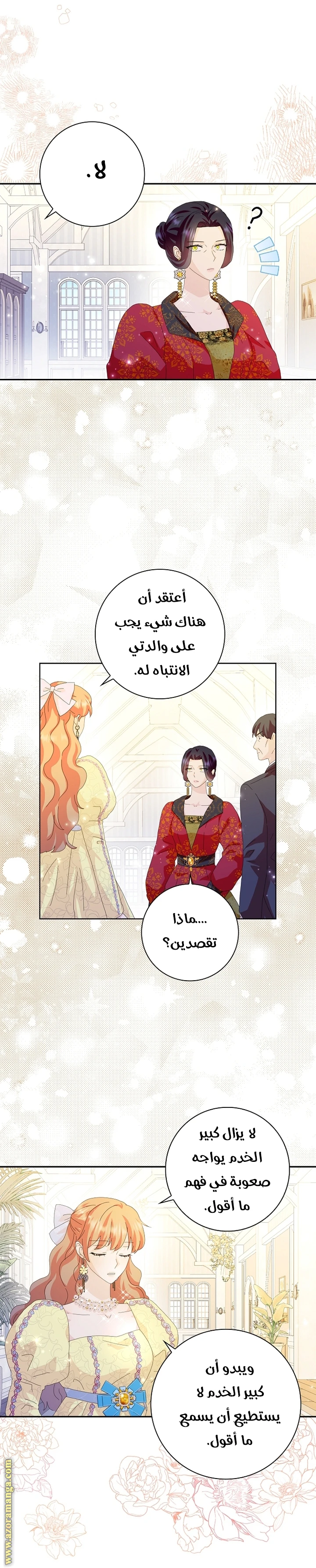 الصفحة 17