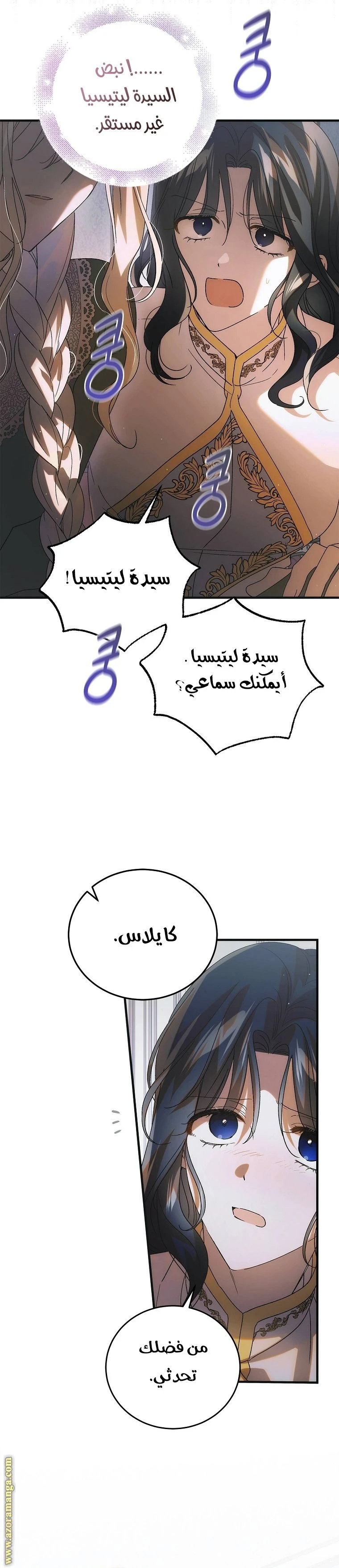 الصفحة 17