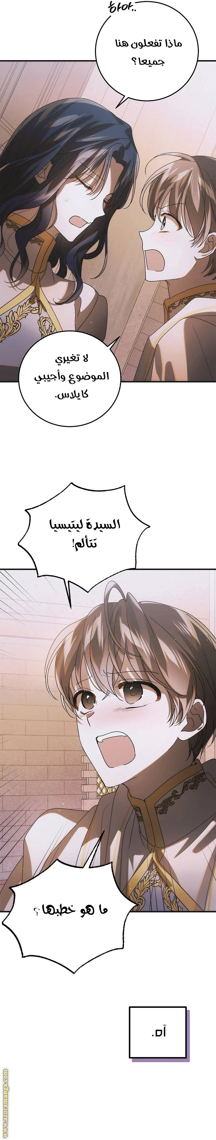 الصفحة 27