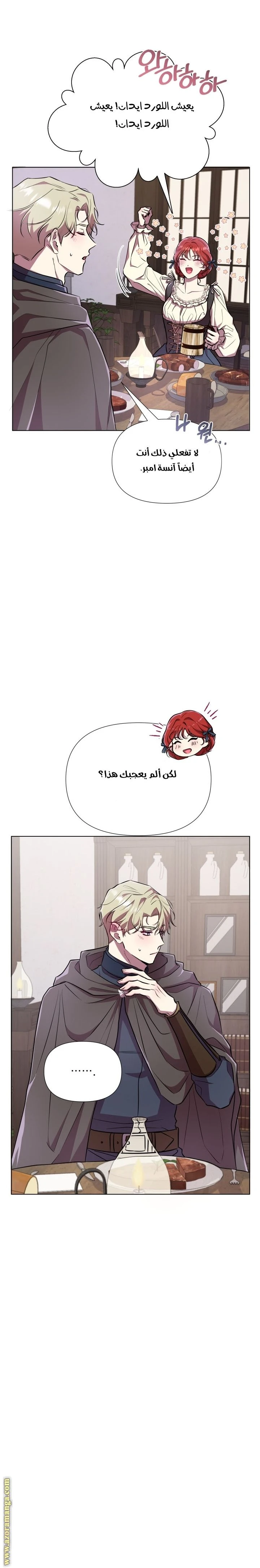 الصفحة 16