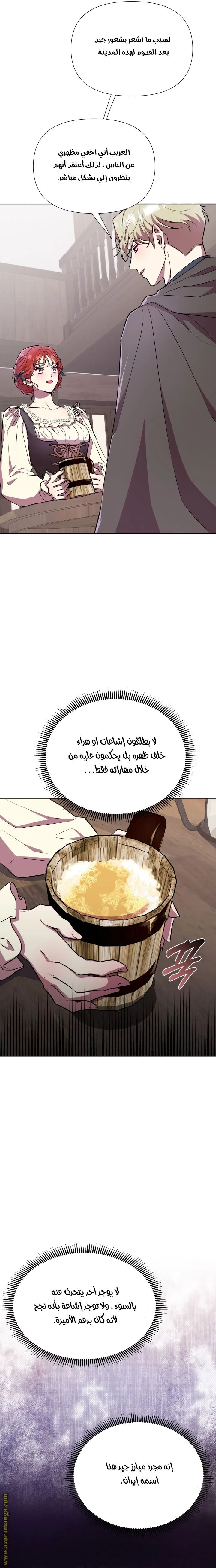 الصفحة 17