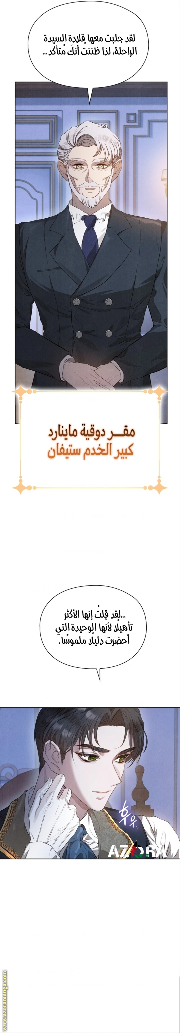 الصفحة 17