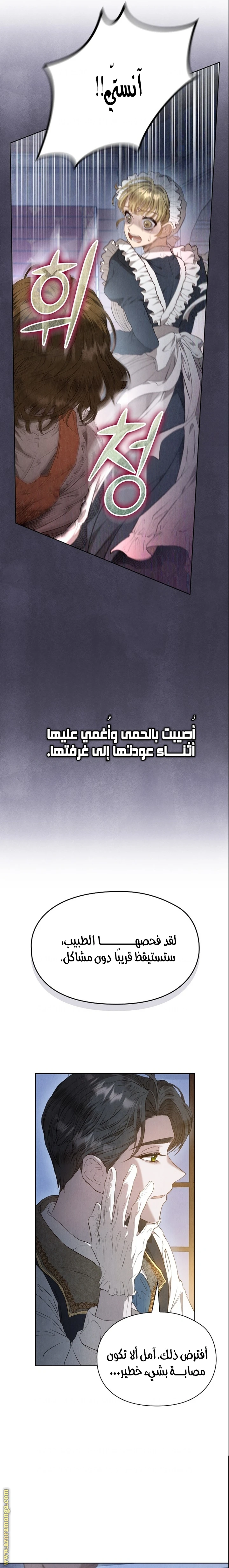 الصفحة 26