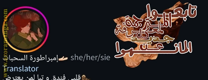 الصفحة 29