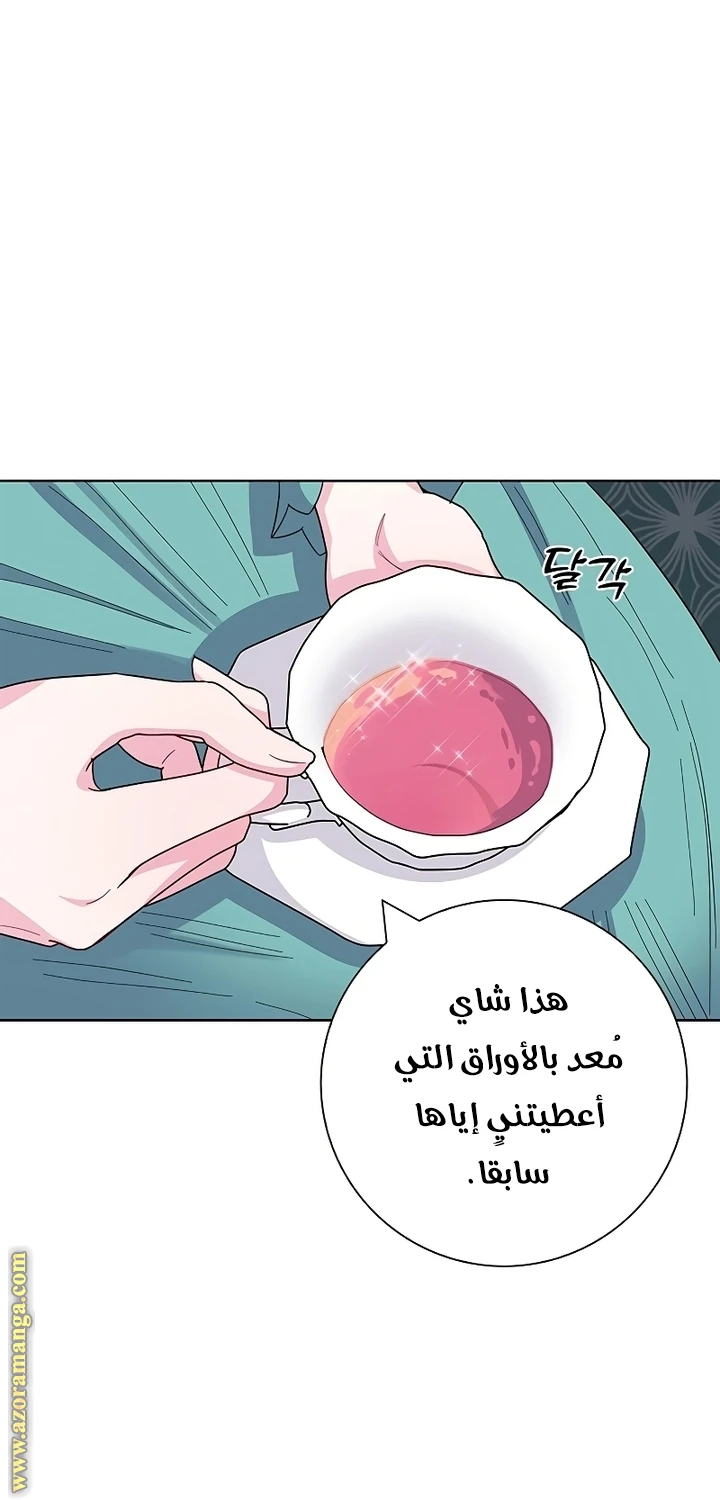 الصفحة 63