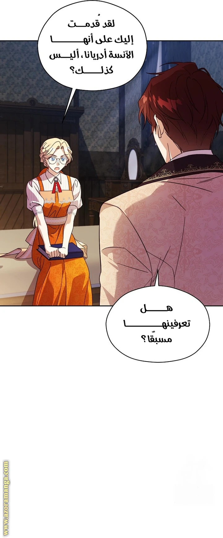 الصفحة 17
